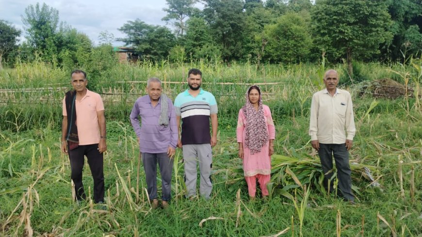 ब्लॉक कांगड़ा के राजल गांव में जंगली जानवरों के आतंक से किसान परेशान