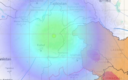कयामत जैसे झटके! अफगानिस्तान में 5 भूकंप, दिल्ली -NCR तक पहुंची दहशत