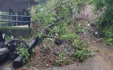 🚨 हिमाचल में बारिश का कहर: भूस्खलन से तीन की मौत