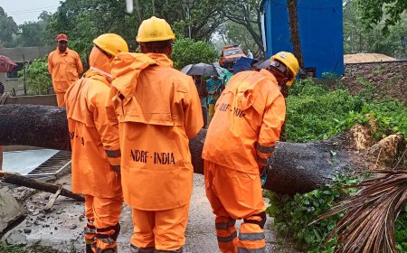 मंडी में भीषण भूस्खलन, दो मकान ढहे; 6 की मौत