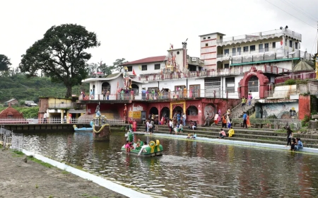 “भक्तों को दर्शन देने पिंडी रूप में हिमानी चामुंडा से नीचे उतरी थी ये देवी”