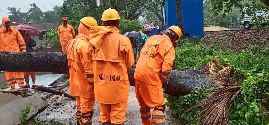 मंडी में भीषण भूस्खलन, दो मकान ढहे; 6 की मौत
