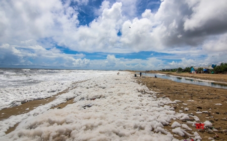 चेन्नई के तट पर पसरी ‘सफेद मौत’—Marina Beach बना पर्यावरण का खतरा
