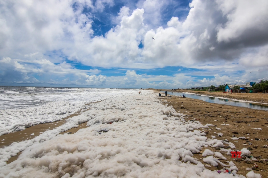 चेन्नई के तट पर पसरी ‘सफेद मौत’—Marina Beach बना पर्यावरण का खतरा