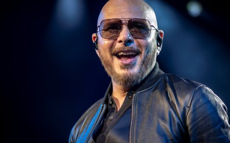 Pitbull का इंडिया टूर हुआ कैंसिल! फैंस को बड़ा झटका﻿