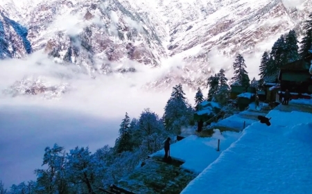 हिमाचल में नवंबर में बर्फबारी! IMD ने जारी किया अलर्ट, इन जिलों में कड़ाके की ठंड