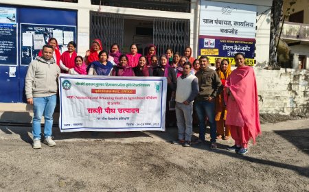 हमीरपुर में KVK का सब्जी नर्सरी प्रशिक्षण, 27 युवा हुए तैयार