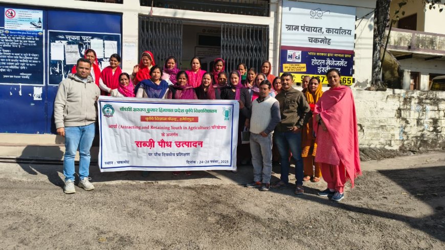 हमीरपुर में KVK का सब्जी नर्सरी प्रशिक्षण, 27 युवा हुए तैयार