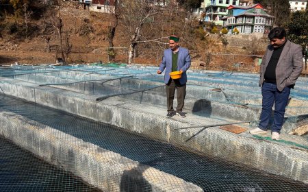 किश्तवाड़ मॉडल पर बनेगी आधुनिक हेचरी, शाहपुर में बढ़ेंगी नौकरियां