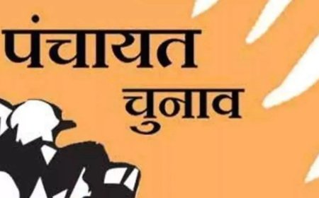 पंचायत चुनाव से पहले हिमाचल में होगा पुनर्सीमांकन, नई पंचायतें तय