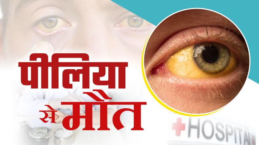 मंडी के गोहर में पीलिया का कहर, 42 लोग बीमार और 1 की मौत