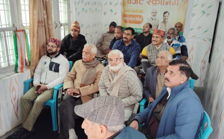 नादौन में भाजपा मंडल ने लाइव सुना केंद्रीय बजट, बताया समग्र विकास का बजट