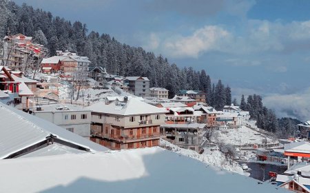 बर्फबारी से चमके  पहाड़, 7 जिलों में बारिश-हिमपात का अलर्ट