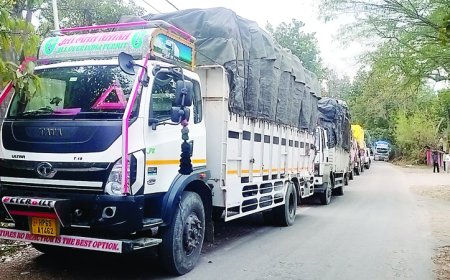 कीरतपुर-नेरचौक फोरलेन पर हो रही अवैध लकड़ी-औषधीय जड़ी बूटियों की तस्करी