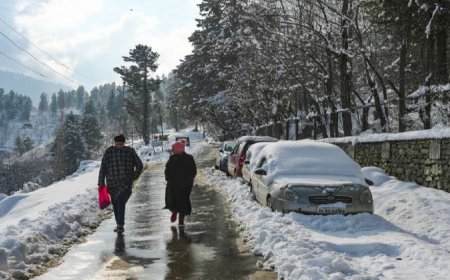 कुल्लू- लाहुल में फिर बर्फबारी का कहर, माइनस 21 तक गिरा तापमान