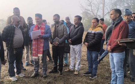 परगोड़ पंचायत के गुब्बर में लगेगा 2 करोड़ का 500 किलोवाट सोलर प्लांट : केवल सिंह पठानिया