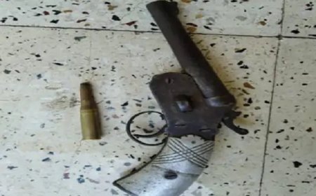 बद्दी में अवैध हथियार सहित एक धरा, पुलिस ने देशी कट्टा और जिंदा कारतूस किया बरामद, छानबीन शुरू