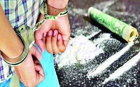 रोहडू में पकड़े पंजाब के चिट्टा तस्कर, नाके के दौरान 83 ग्राम नशा किया बरामद, सप्लाई देने आए थे दोनों युवक