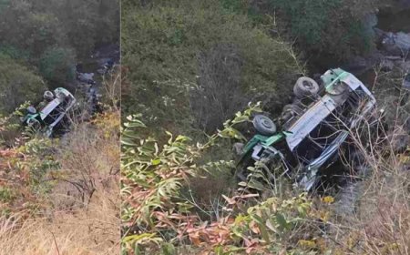 चौपाल–पांवटा रूट पर HRTC बस खाई में गिरी, 3 की मौत