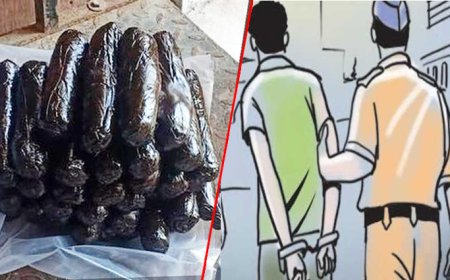 पालमपुर में पुलिस ने पकड़ी चरस वाली गाड़ी, डेढ़ किलाे खेप के साथ कुल्लू के 3 तस्कर गिरफ्तार