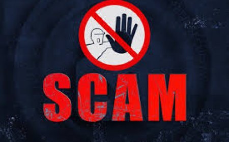 बिलासपुर फर्जीवाड़े का दूसरा आरोपी निलंबित, दिल्ली क्राइम ब्रांच कर रही तलाश