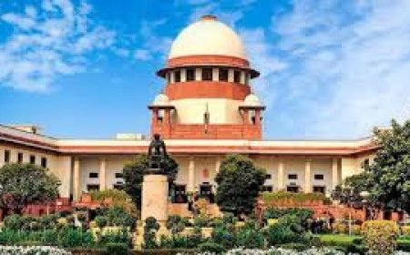 पंचायत चुनाव मामला: हिमाचल हाईकोर्ट के फैसले के खिलाफ सुप्रीम कोर्ट पहुंची सुक्खू सरकार