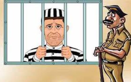 नालागढ़ में नशे पर वार: 13 किलो चूरा-पोस्त के साथ चालक गिरफ्तार