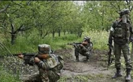 सुरक्षाबलों और नक्सलियों के बीच हुई मुठभेड़, तीन नक्सली ढेर, एक जवान शहीद