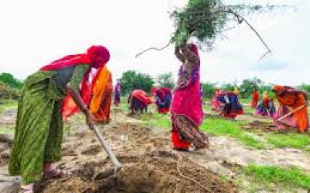 मनरेगा में 80 दिन काम करने वाले BPL में, 40 फीसदी दिव्यांगता वाले शामिल, विभाग ने अधिसूचित किए नए नियम