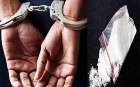 मनाली में चिट्टे के साथ पंजाब के दो युवक गिरफ्तार