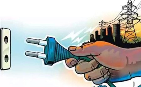 बलद्वाड़ा में भाजपा पदाधिकारी बिजली चोरी करते पकड़ा गया, ₹1 लाख जुर्माना