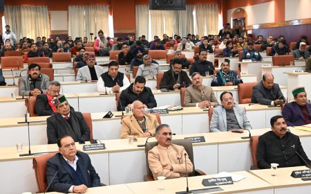 आरडीजी खत्म होना सरकार नहीं, जनता के अधिकारों पर चोट: सुक्खू