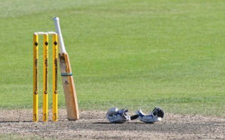 सोलन क्रिकेट टीम के ट्रायल में 30 युवा उतरे मैदान में