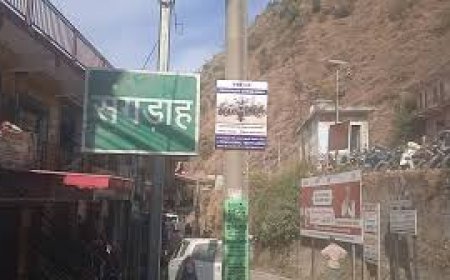 संगड़ाह की सड़कों ने एक महीने में लीं 17 जानें