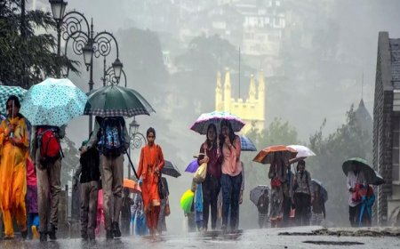 आज बदलेगा मौसम, कल से बारिश-बर्फबारी; येलो अलर्ट जारी