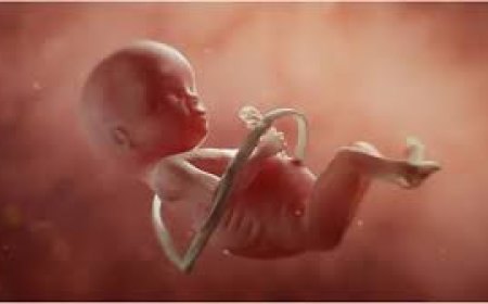 मैडीकल जांच के दौरान गर्भवती निकली नाबालिगा, मुकद्दमा दर्ज