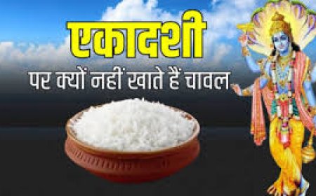 एकादशी पर चावल क्यों नहीं खाते? जानें कारण