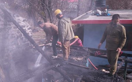 मनाली में भीषण अग्निकांड: 14 मील में मकान जलकर राख