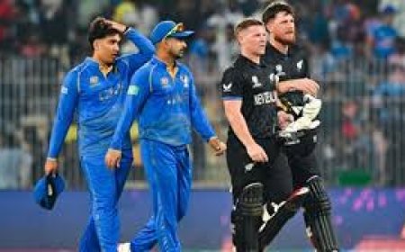 UAE vs NZ T20 World Cup: न्यूजीलैंड ने यूएई को 10 विकेट से हराया