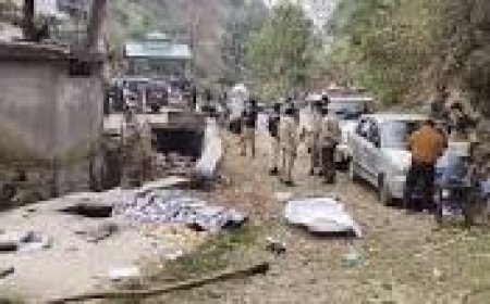 बिलासपुर हत्याकांड: पहली पत्नी के बाद दूसरी  को भी बेरहमी से मारकर सेप्टिक टैंक में डाला