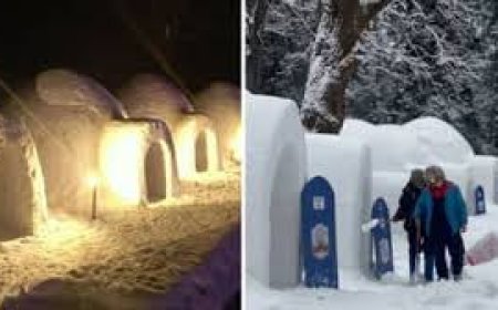 मनाली के हामटा में अंटार्कटिका जैसा एहसास, इग्लू बने आकर्षण;  कर सकेंगे बुकिंग