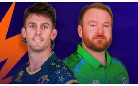 ऑस्ट्रेलिया की धमाकेदार जीत, आयरलैंड 115 पर ढेर