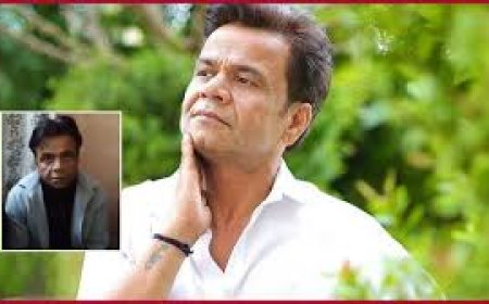 ‘मैंने पैसे नहीं लिए…’, तिहाड़ जेल में बंद राजपाल यादव का वीडियो वायरल, हाईकोर्ट ने नहीं दी जमानत