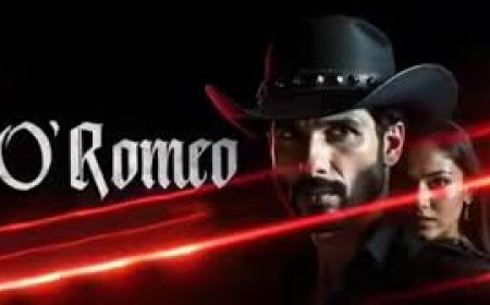 ‘ओ रोमियो’ रिव्यू: हिट या फ्लॉप? जानें पब्लिक रिएक्शन