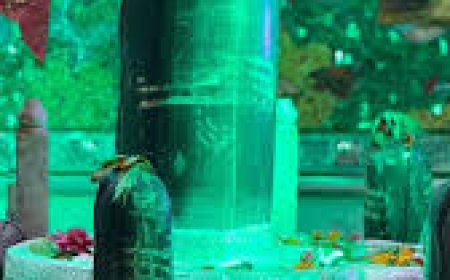 7 किलो चांदी से सजा शिवलिंग, महाशिवरात्रि खास