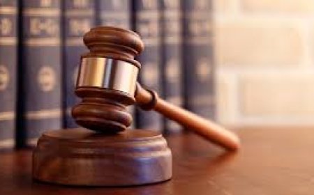 हिमाचल को सुप्रीम राहत,  निजी भूमि पर सूखे-गले खैर कटान पर रोक नहीं