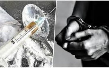 शिमला में चिट्टा गिरोह का भंडाफोड़, 6 गिरफ्तार