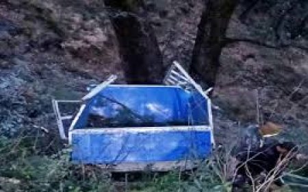 महाशिवरात्रि पर दर्दनाक हादसा, 3 युवकों की मौत