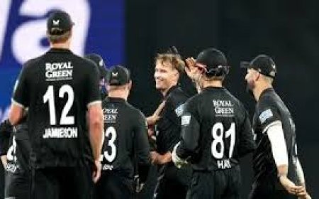 न्यूजीलैंड सुपर 8 में, अफगानिस्तान का सपना टूटा