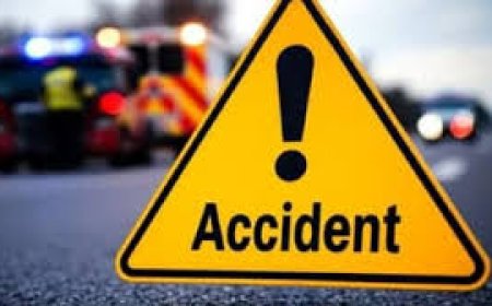 चंबा में दर्दनाक हादसा: खाई में गिरी कार, वकील की मौत